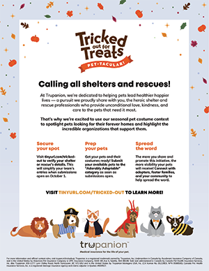 Shelter/rescue team flyer